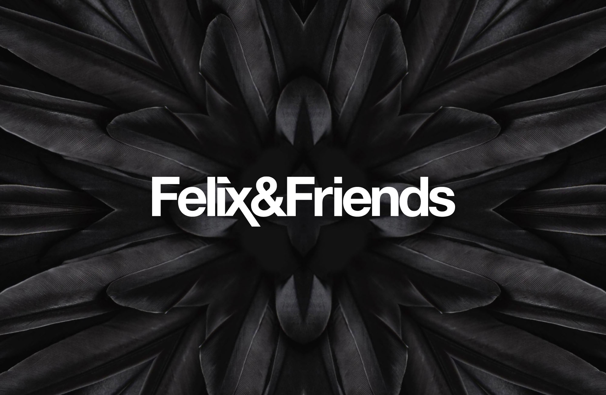 (c) Felixandfriends.com